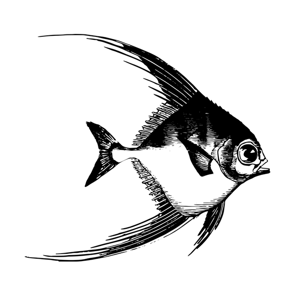 image is loading